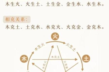 探秘一九九一五行命运：你的生活是否被五行所影响？