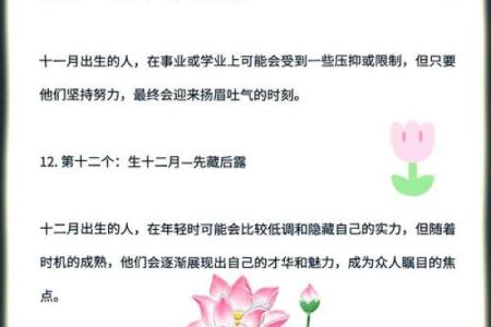 1997年出生的你，命运与性格的秘密解析！