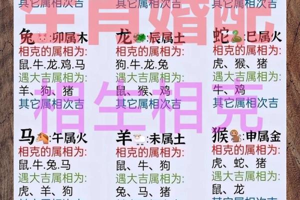 属相最佳配对：找到您的命中注定的另一半