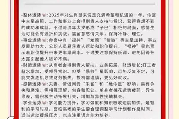 探索2020年鼠年男孩的命运与人生轨迹