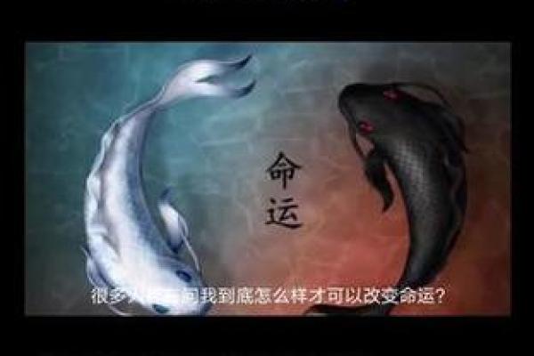 耳朵向前长的人生秘密：命运的微妙指引与性格分析