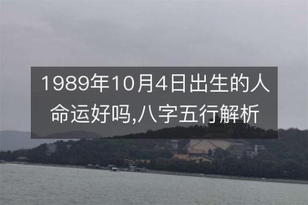 探秘甲辰年出生者的命运与人生轨迹
