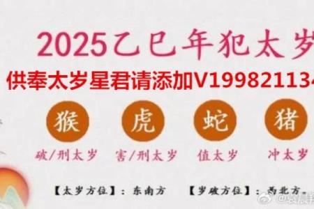 冬月虎女宝宝的命运揭秘：千年文化中的独特命理解析
