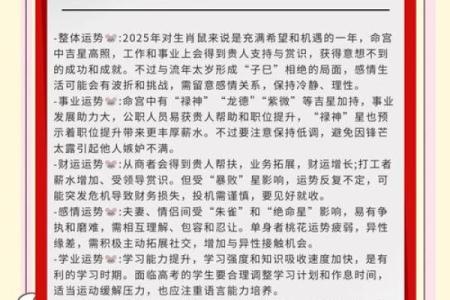 探索2020年鼠年男孩的命运与人生轨迹