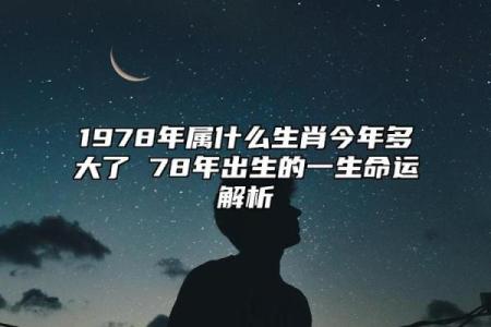 探秘甲辰年出生者的命运与人生轨迹