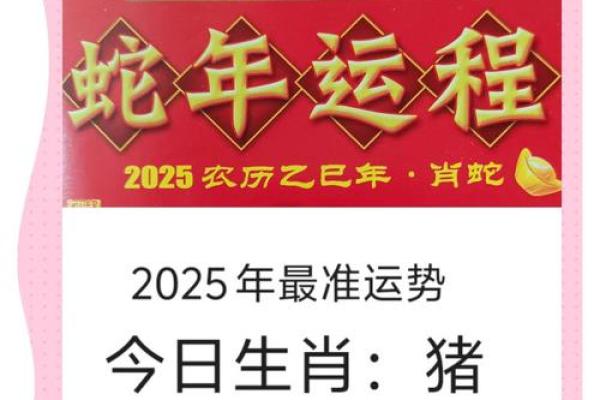 99岁属猪的命运解析：快乐人生的珍贵秘密