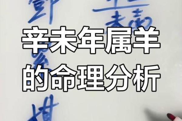 1994年属羊人的命理与人生：从性格到事业的全面解析