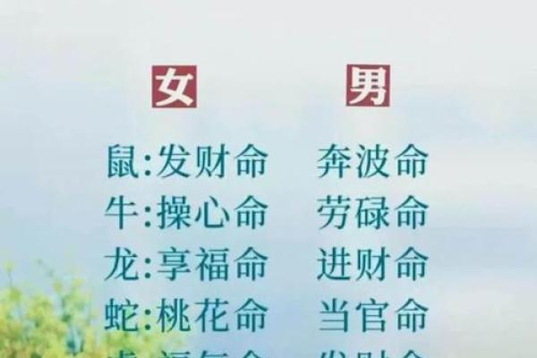 39岁属什么生肖和命理解析，揭示你的命运之道！
