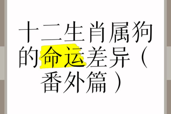 揭开生肖狗的神秘面纱：探寻其命运与个性魅力
