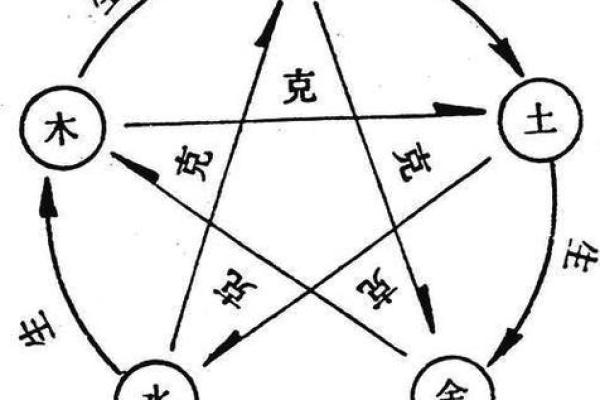 金命人的人生发展方向与机遇解析
