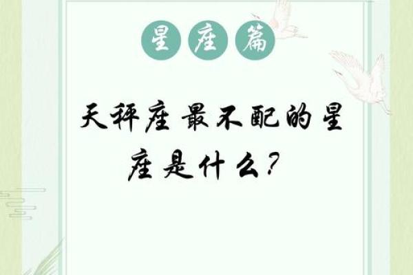 2005年木鸡命的缺失与弥补：如何在生活中寻找平衡与和谐