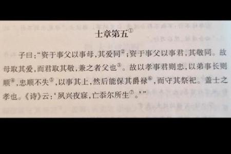 孝子风范：探秘命格中的忠诚与责任之道