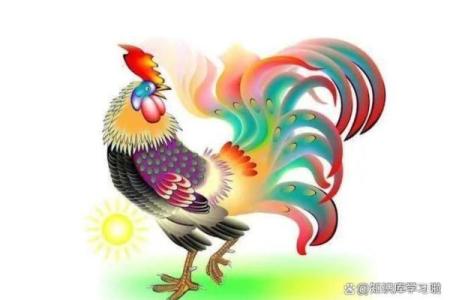 77岁属鸡人的命运解析：智慧与坚韧的结合