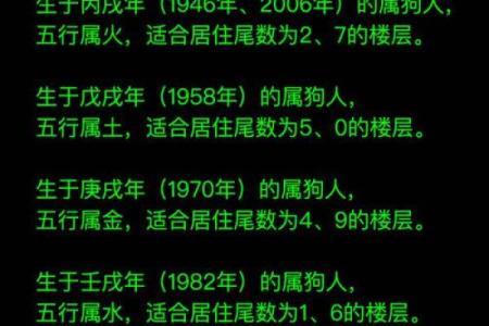 2018年属狗人大揭秘：12月出生的命运与性格分析