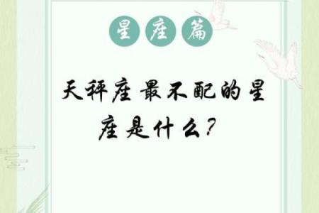 2005年木鸡命的缺失与弥补：如何在生活中寻找平衡与和谐