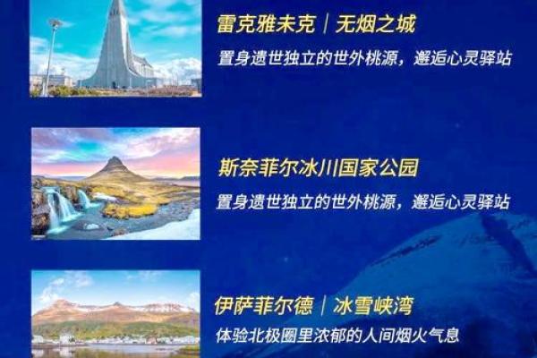 过山猪之命：命运与自由的探索之旅