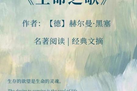 探索生命的音韵：从声音中感悟生命的真谛