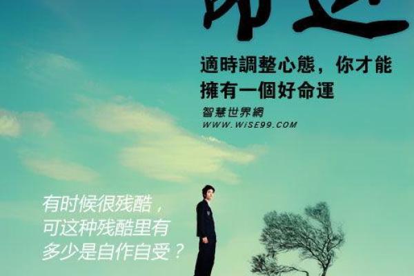 77年出生的人命理分析：恰似花开，命运多姿！