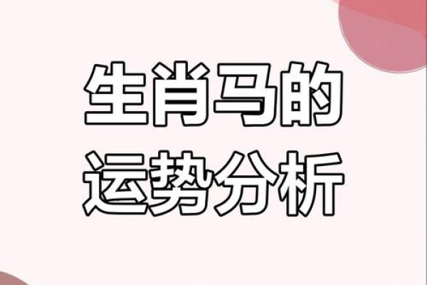 54属马生肖的命运与性格特征探秘：你可以成就什么？