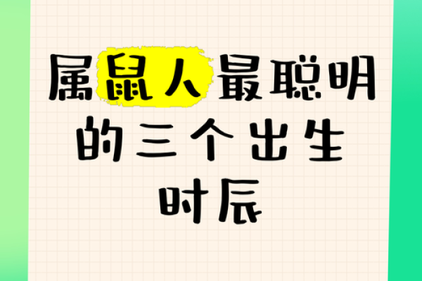 2020年属鼠人的命运解析：抓住机遇，迎接挑战！