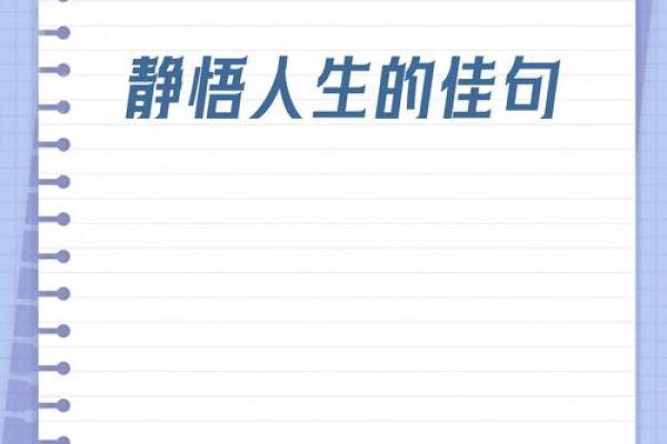 命运与归宿：在选择中塑造人生的旅程
