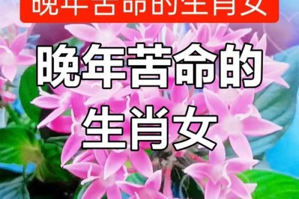 79年羊属土命，解读命理与人生智慧