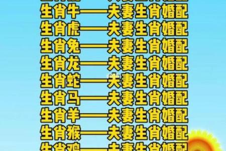 1979年鼠人命运解析：揭示你命中注定的财富与爱情