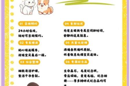 适合命属火的人：五种最佳宠物选择与养护指南