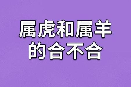 1997年猴年出生的人：命运与性格的探索之旅