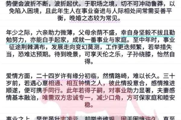 属虎人的命理解读与星座分析，探索他们的性格与命运之路