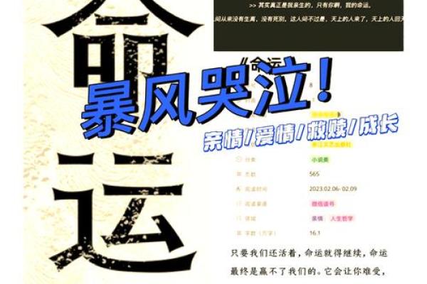 童子命的人生指引：探寻命运的奥秘与自我提升的途径