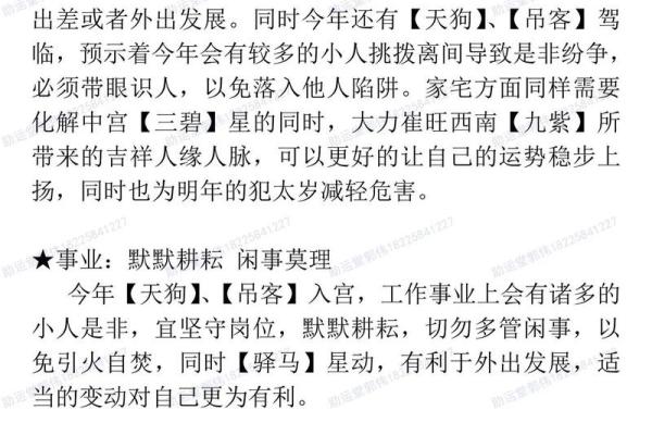 2022年是壬寅年，探寻虎年的命理智慧与人生启示