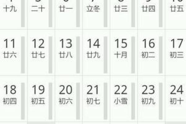 1994年1月15日出生的命运与人生启示