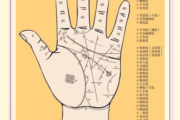 手掌花纹揭秘：命运的暗示与人生的启迪
