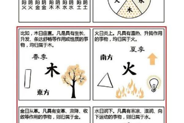 人出生的命理之谜：如何通过八字解读你的命运