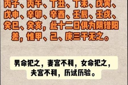 探秘命格：解读“一个雷两条命”的深层含义与启示