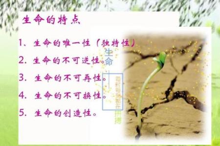 童子命的人生指引：探寻命运的奥秘与自我提升的途径
