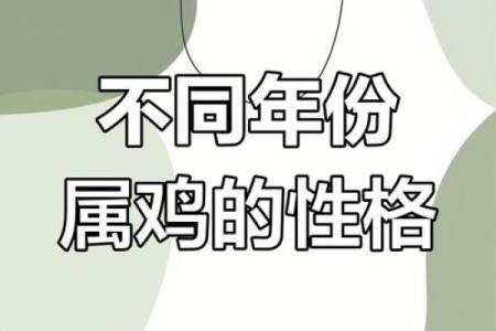 属鸡的人为何命途多舛？探寻背后的秘密与命运转折！