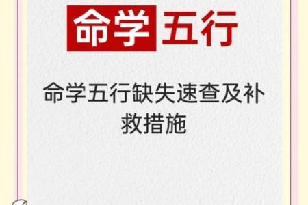 探秘木命人：生辰八字中的木元素与性格揭示