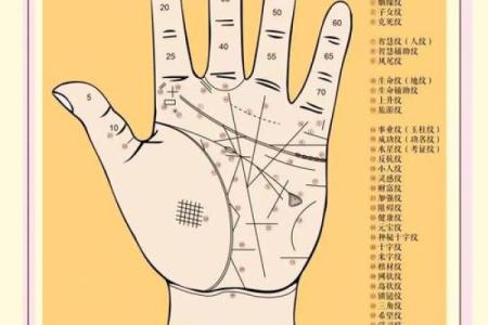 手掌花纹揭秘：命运的暗示与人生的启迪