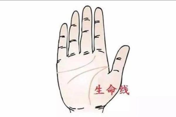32岁属什么的命，揭开命运之谜的秘密旅程！