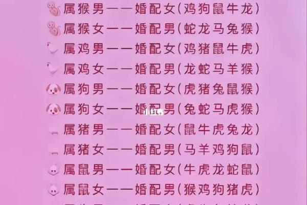 享福命的生肖：那些注定幸福的人生旅途