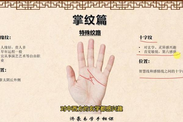 掌纹杂乱，命运多变：探秘掌纹背后的故事与含义