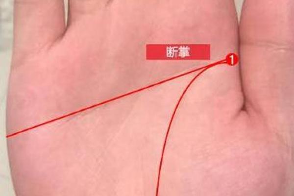 探索男孩断掌的命运：从掌纹看人生的潜在可能