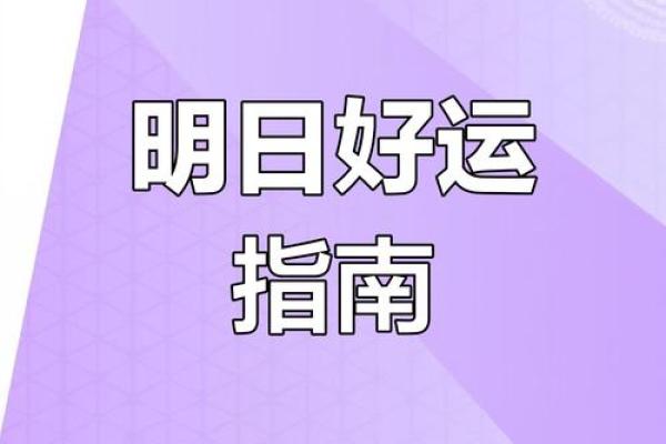 解析朱雀命理：哪种属相最适合成就辉煌人生？