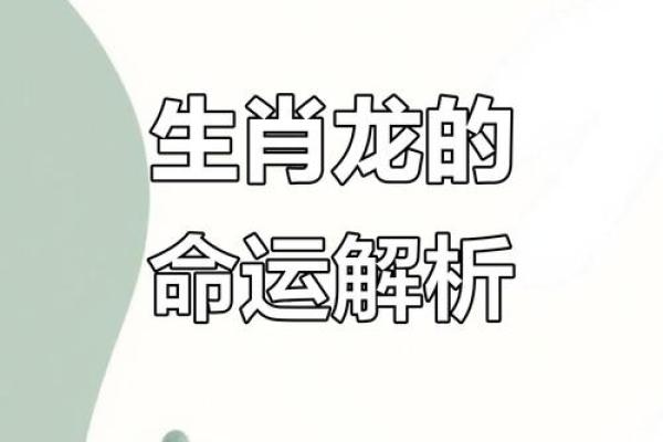 探秘47属大龙的命运：有哪些特质和影响？