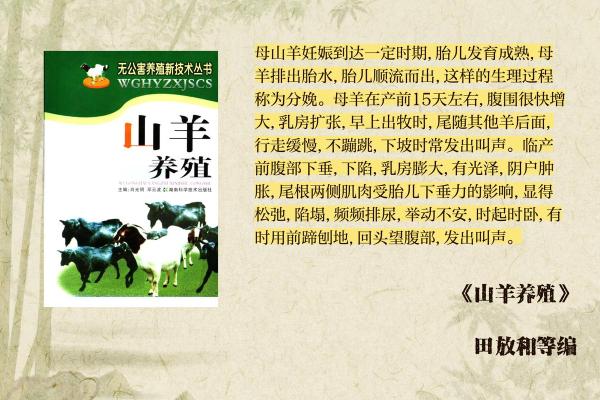 探索2015年数羊命的奥秘：与羊共舞的人生哲学