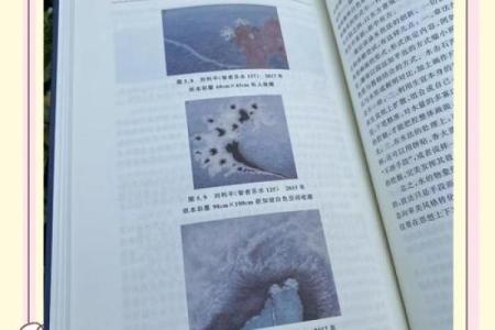 水的滋养：探寻木命与水元素的深厚关联
