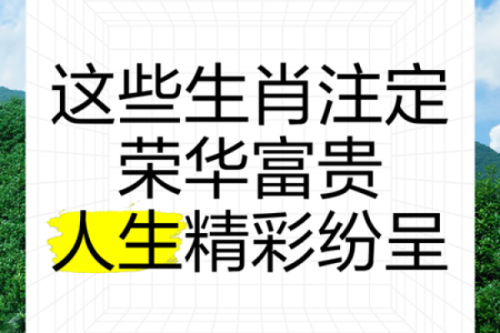 享福命的生肖：那些注定幸福的人生旅途