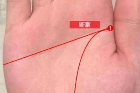 探索男孩断掌的命运：从掌纹看人生的潜在可能